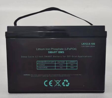 2-Year Warranty Maintenance-Free VRLA Battery 12V 100Ah Sealed Lead Acid Battery for High Rate Discharge